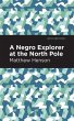 A Negro Explorer at the North Pole - Bild 1