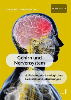 Gehirn und Nervensystem (eBook, PDF)
