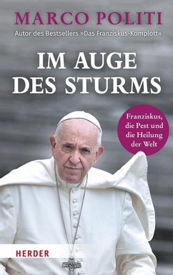 Im Auge des Sturms (eBook, PDF) - Politi, Marco
