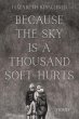 Because the Sky is a Thousand Soft... - Bild 1
