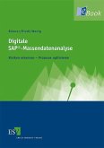 Digitale SAP®-Massendatenanalyse (eBook, PDF)