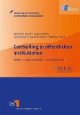 Controlling in öffentlichen Institutionen (eBook, PDF)