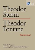 Theodor Storm - Theodor Fontane (eBook, PDF)