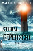 Sturmgepeitscht (eBook, ePUB)