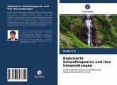 Reduzierte Schwefelspezies und ihre Umwandlungen