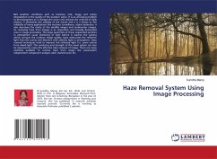 Haze Removal System Using Image Processing