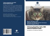 Chlamydophila felis BEI HAUSTIERKATZEN