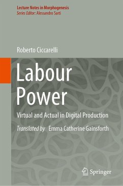 Labour Power (eBook, PDF) - Ciccarelli, Roberto