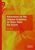 Adventures in the Chinese Economy: 16 Years from the Inside (eBook, PDF)