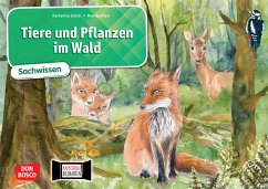 Tiere und Pflanzen im Wald. Kamishibai Bildkartenset - Stöckl-Bauer, Katharina