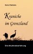 Kraniche im Grenzland - Bild 1