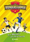 Das Wunder von Hegenwald / Der Wunderstürmer Bd.6 (eBook, ePUB)