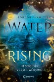 Im Sog der Verschwörung / Water Rising Bd.2 (eBook, ePUB)