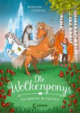 Das Geheimnis der Edelsteine / Die Wolkenponys Bd.1 (eBook, ePUB)