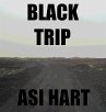 Black Trip (eBook, ePUB) - Bild 1