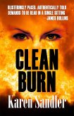 Clean Burn (Janelle Watkins Investigations, #1) (eBook, ePUB)