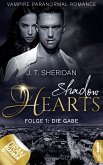 Shadow Hearts – Folge 1: Die Gabe (eBook, ePUB)