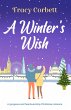 Winter's Wish (eBook, ePUB) - Bild 1