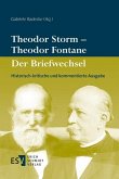 Theodor Storm - Theodor Fontane Der Briefwechsel (eBook, PDF)