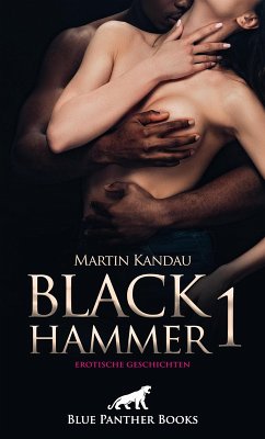 Black Hammer 1! Erotische Geschichten (eBook, PDF) - Kandau, Martin
