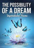 THE POSSIBILITY OF A DREAM (eBook, ePUB)