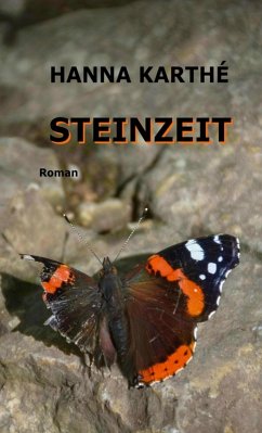 Steinzeit (eBook, ePUB) - Karthé, Hanna