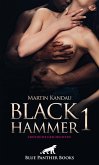 Black Hammer 1! Erotische Geschichten (eBook, ePUB)