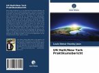 UN Haiti/New York Praktikumsbericht