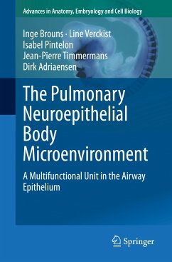 The Pulmonary Neuroepithelial Body Microenvironment (eBook, PDF) - Brouns, Inge; Verckist, Line; Pintelon, Isabel; Timmermans, Jean-Pierre; Adriaensen, Dirk