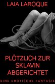 Plötzlich zur Sklavin abgerichtet (eBook, ePUB)