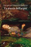 La traccia dell'acqua (eBook, ePUB)