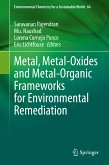 Metal, Metal-Oxides and Metal-Organic Frameworks for Environmental Remediation (eBook, PDF)
