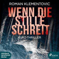 Wenn die Stille schreit - Klementovic, Roman