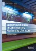 Subterranean Space in Contemporary Mexico City Literature (eBook, PDF)