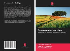 Desempenho do trigo - Hailu, Eyerusalem;Temesgen, Melese;Abraham, Thomas