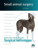 Surgical techniques. Small animal surgery (eBook, ePUB)