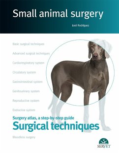 Surgical techniques. Small animal surgery (eBook, ePUB) - Rodríguez, José