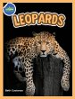 The Amazing World of Leopards Booklet... - Bild 1