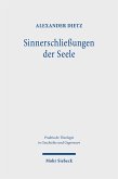 Sinnerschließungen der Seele (eBook, PDF)