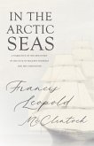 In the Arctic Seas - A Narrative of the Discovery of the Fate of Sir John Franklin and his Companions (eBook, ePUB)
