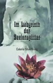 Im Labyrinth der Seelensplitter (eBook, ePUB)