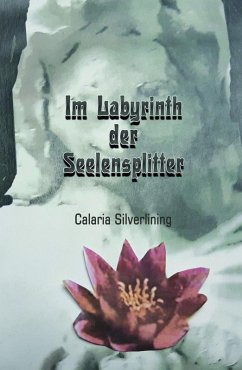 Cover Im Labyrinth der Seelensplitter (eBook, ePUB)
