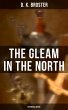 The Gleam in the North (Historical... - Bild 1