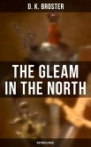 The Gleam in the North (Historical Novel) (eBook, ePUB)