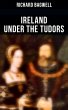 Ireland under the Tudors (eBook, ePUB) - Bild 1