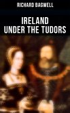 Ireland under the Tudors (eBook, ePUB)