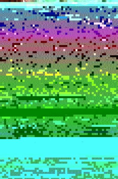 A Cheerful and Comfortable Faith (eBook, PDF)