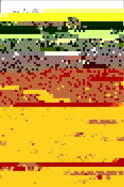 Paradoxy of Modernism (eBook, PDF)