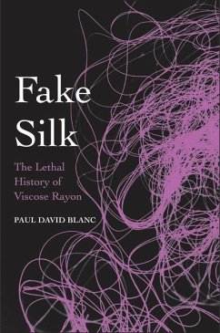 Fake Silk (eBook, PDF) - Blanc, Paul David