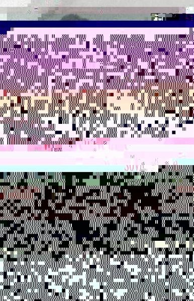 The Invisible Harry Gold (eBook, PDF) The Invisible Harry Gold (eBook, PDF)